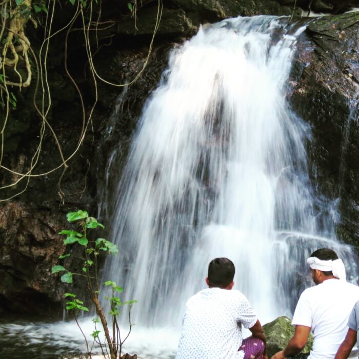 Cholamala Luxury home stay with pool, water falls & Tent Stay vythiri - Image 10