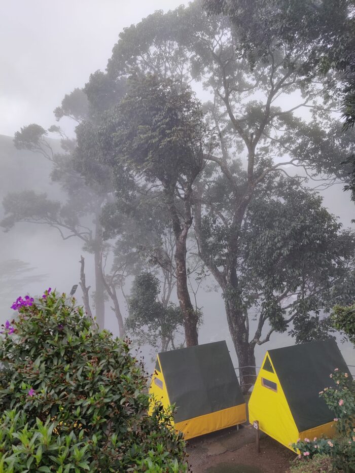 Koodaram Camping at Munnar by Nature Farm Stay Kerala - Image 3