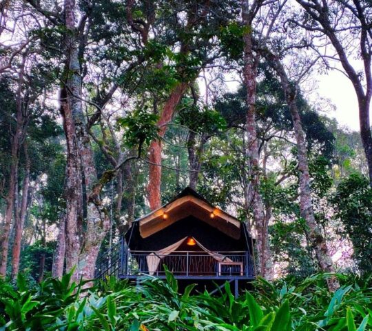Munnar Skyes Glamping Resort Treetop Tent