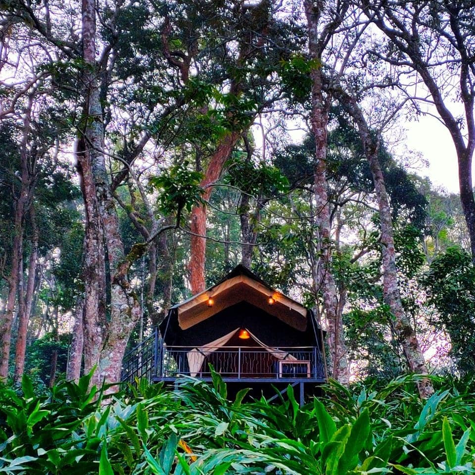 Munnar Skyes Glamping Resort Treetop Tent