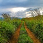 Top 72 tourist attractions in Munnar and Idukki District of Kerala