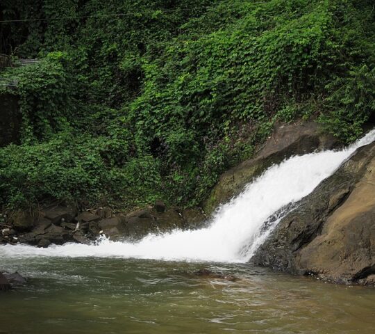 Kottayam Aruvikkuzhi Waterfalls