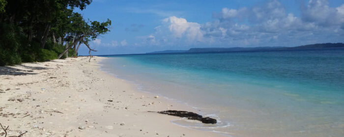 Vakkad Beach - Image 3