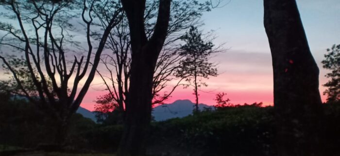 Ripon Heritage Bungalow 100 Years Old British Bungalow - Image 36