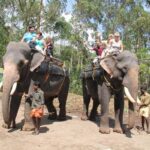 Carmelagiri Elephant Park Munnar