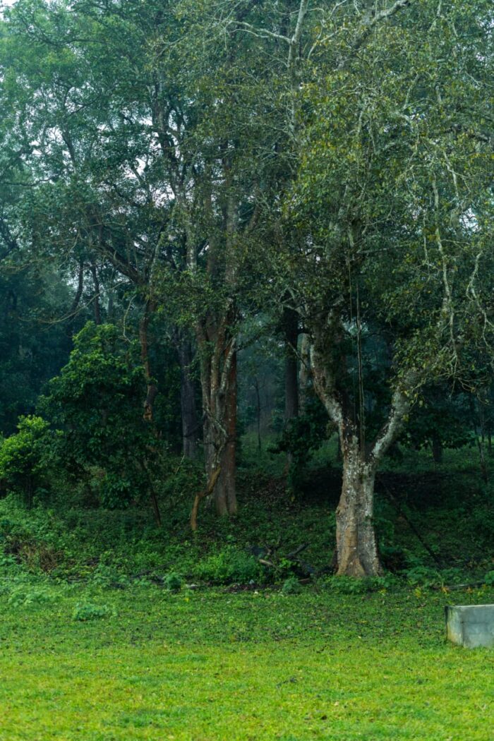 Emarald Wild West Resort - Image 26