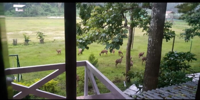 Emarald Wild West Resort - Image 27