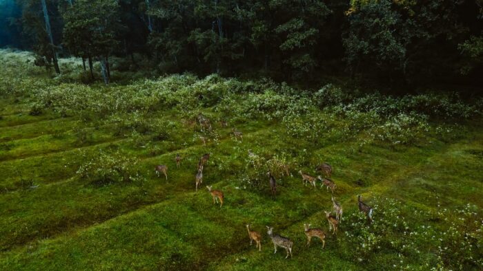 Emarald Wild West Resort - Image 34