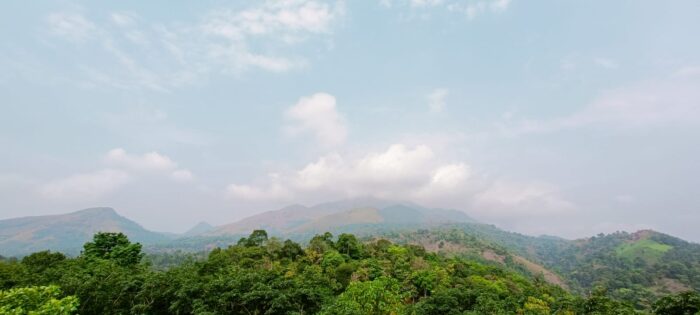 Golden Hill View Resort Wayanad - Image 5