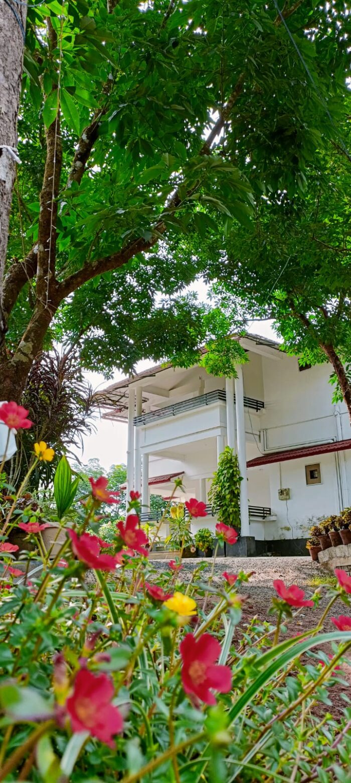 Golden Hill View Resort Wayanad - Image 3