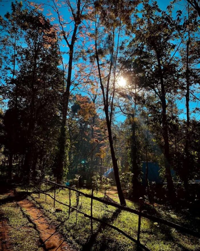 Wood Monks Camping Wayanad - Image 12