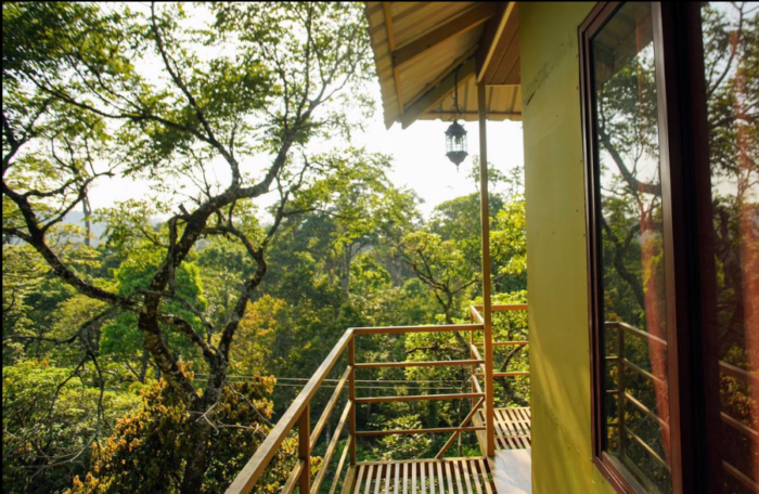 Nature Zone Resort Tree House in munnar - Image 3