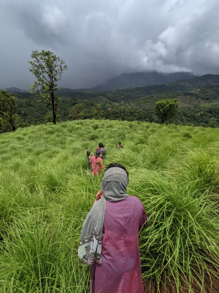 Wood Monks Camping Wayanad - Image 7