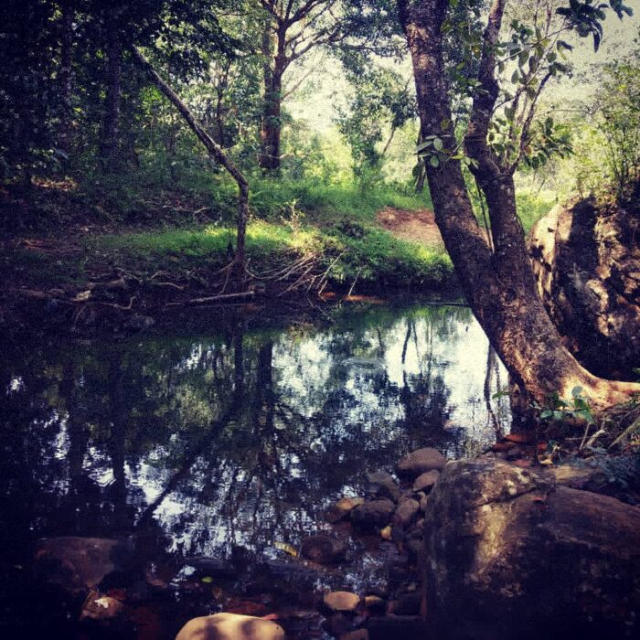 Wood Monks Camping Wayanad - Image 10