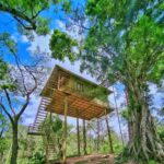 Nature Zone Resort Tree House in munnar