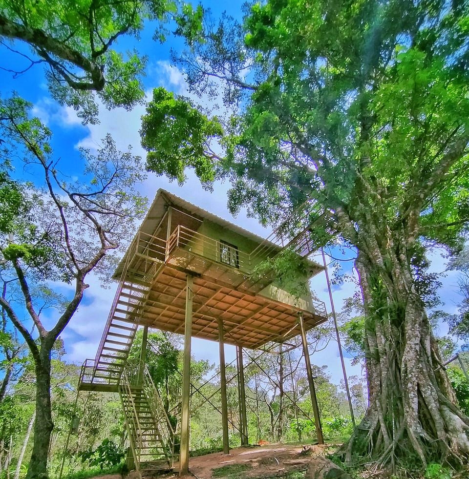 The Munnar Tree House