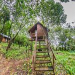 ReginaSilva Camping & Nature Resort Paithalmala Kannur