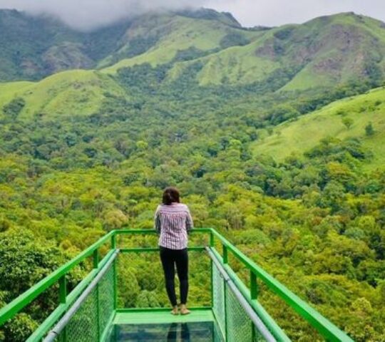One day tour package for Wayanad