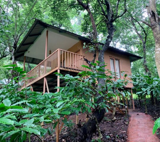 Thennal Jungle Camp Cottage Mud House Waynad
