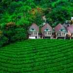 Zero Degree Tea Plantation View Cottage Munnar