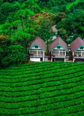 Munnar