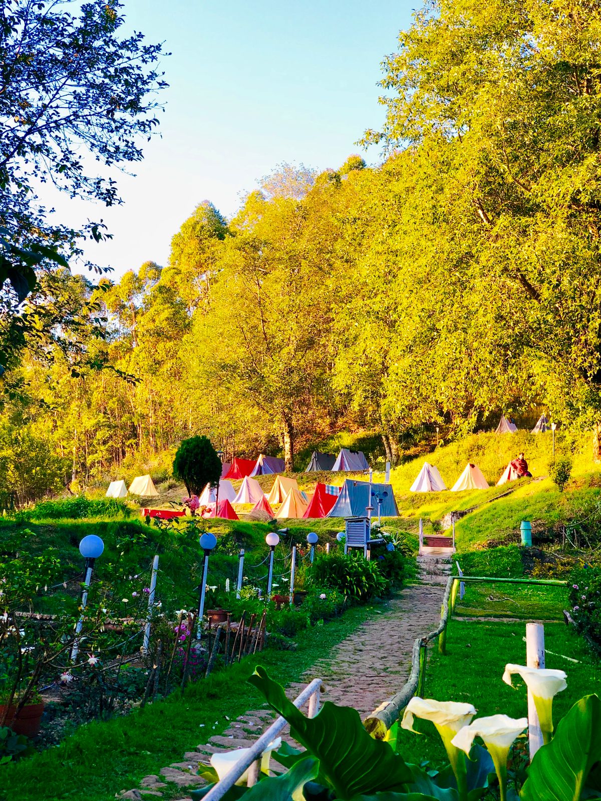 Meeshapulimala Camping Munnar Kerala Munnar Meesapulimala Camping - Image 1