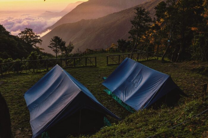 Forest Camping in Munnar Idukki - Image 2