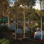 Neoland The Highest View Point Campsite in Suryanelli Munnar