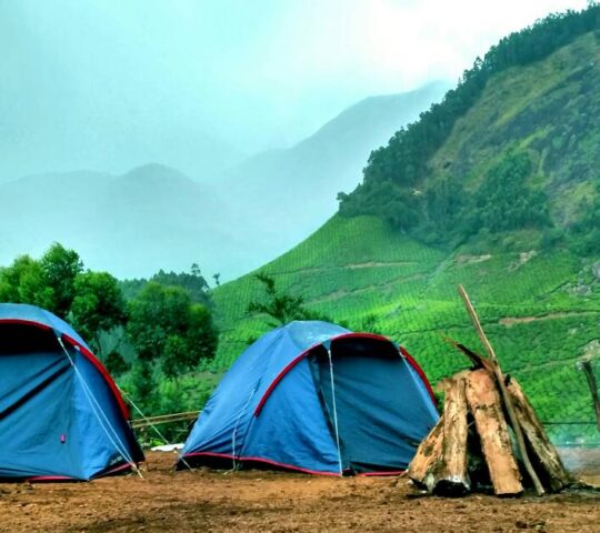 CampfireTents – Tea Plantation Camping Kerala
