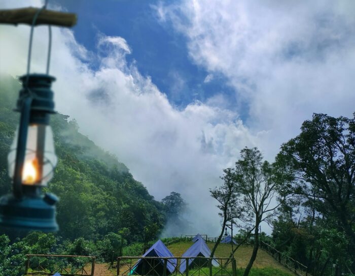 Forest Camping in Munnar Idukki - Image 5
