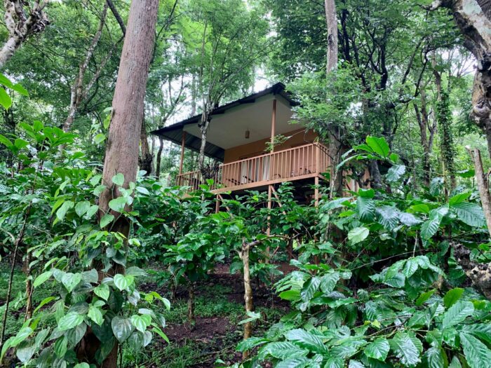 Thennal Jungle Camp Cottage Mud House Waynad - Image 3