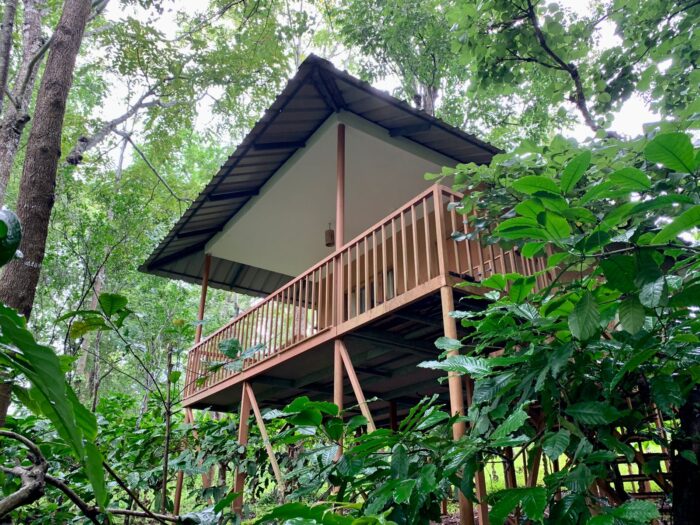 Thennal Jungle Camp Cottage Mud House Waynad - Image 2