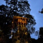 Treehouse Stay Wayanad 900 Kandi