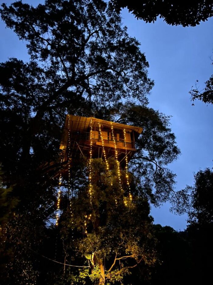 Ew Adventures 900 Kandi Camping Wayanad - Image 7