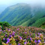 Visit Chikkamangalur in One day BY Public Transport