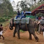 ഇടുക്കി മൂന്നാര്‍ കണ്ടിരിക്കേണ്ട 30 സ്ഥലങ്ങൾ