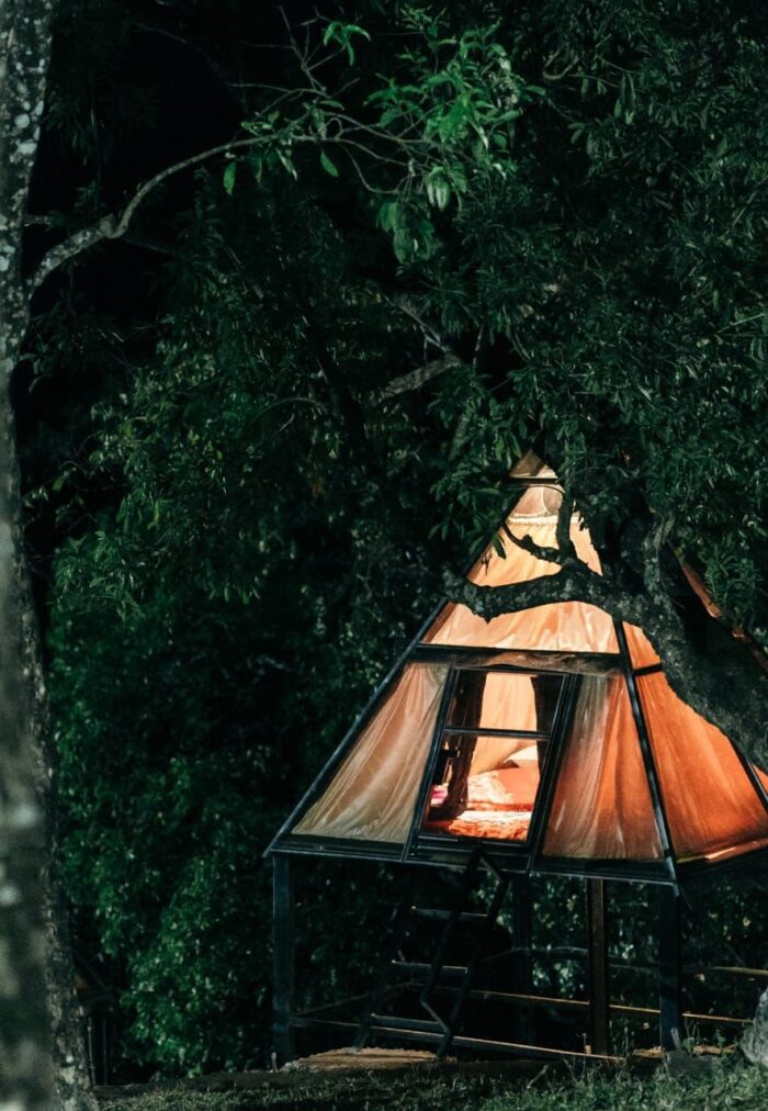 Glass house stay with Waterfall Trekking Munnar - Image 10