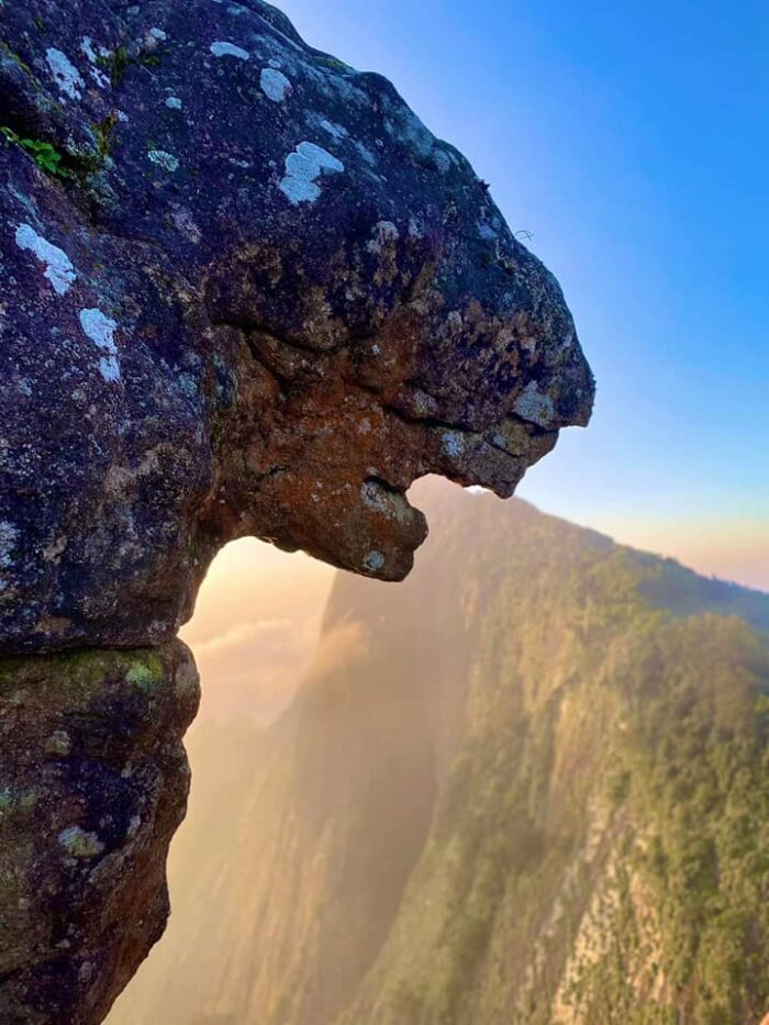 Kolukkumalai - Image 17