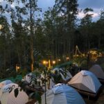 Camping Ground Suryanelli Tent Stay Munnar