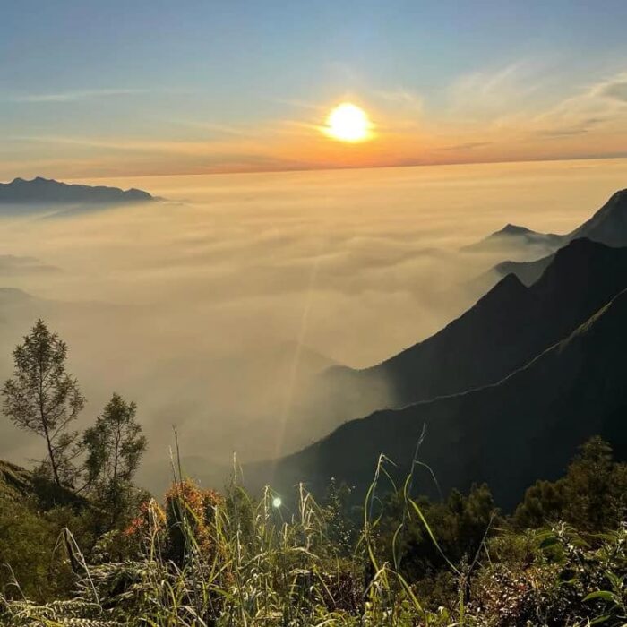 Kolukkumalai Package - Image 13