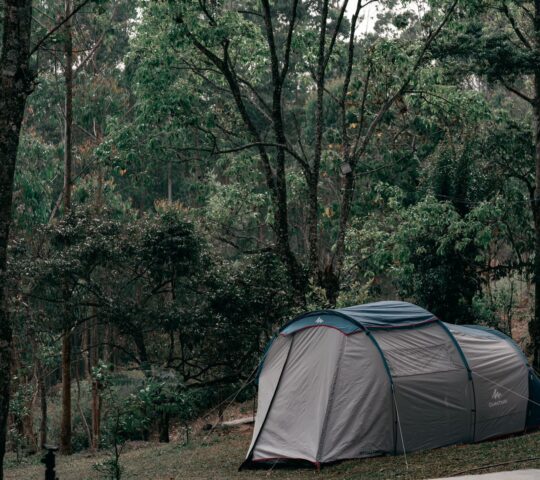 Camping Ground Suryanelli Tent Stay Munnar