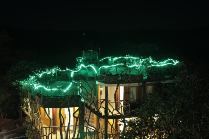 Blue Bell Resort Wayanad – Periya - Image 7