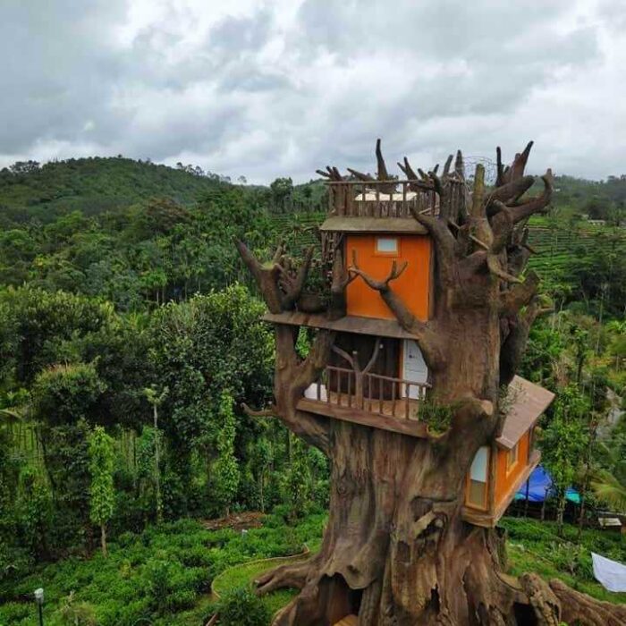 Blue Bell Resort Wayanad – Periya - Image 3