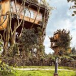 Blue Bell Resort Wayanad – Periya