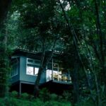 Wayanad Wild – CGH Earth