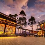 Chandys Drizzle Drops