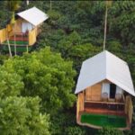 The Coffee County Resort