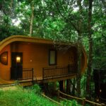 Jungle Beats Resorts