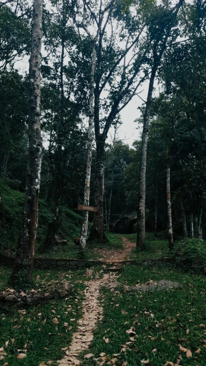 Lantern Stay – Resort in Wayanad - Image 3