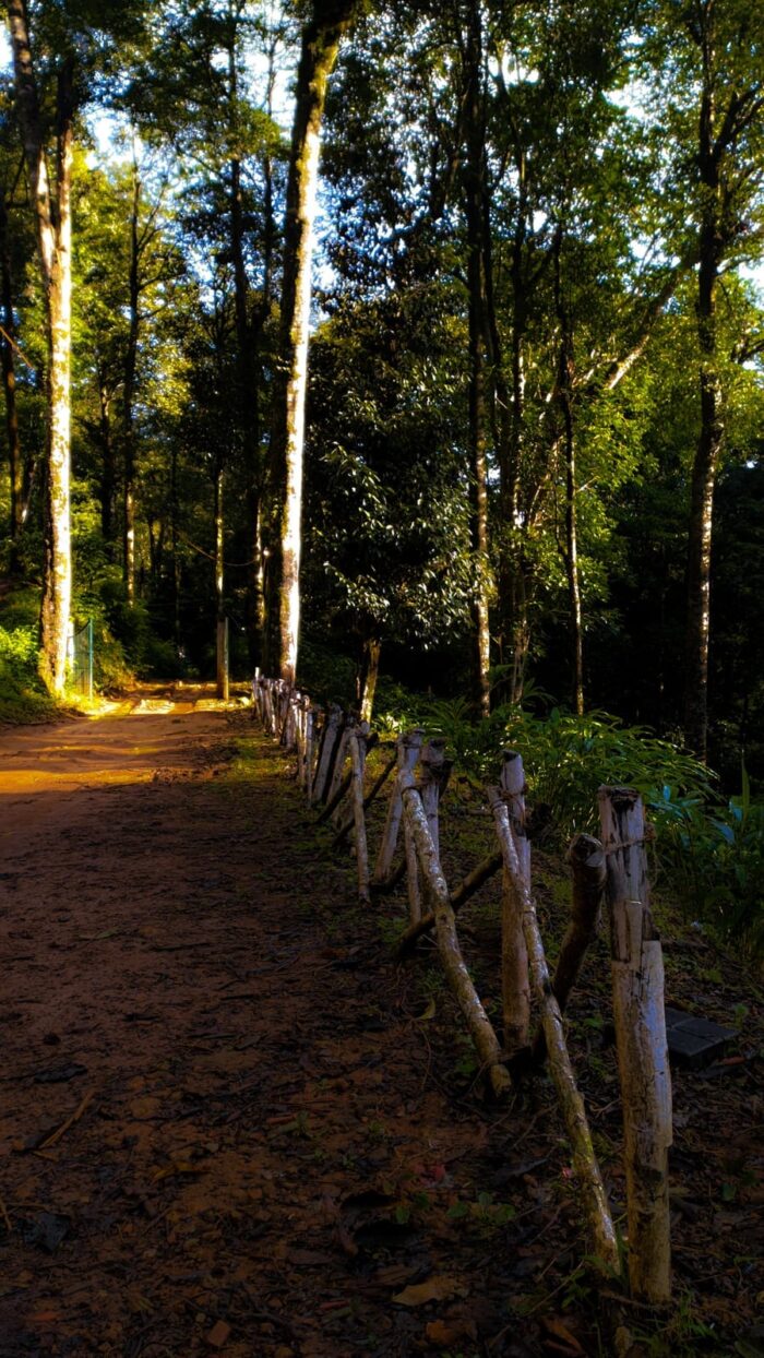 Zeno Village 900 Kandi Wayanad - Image 7